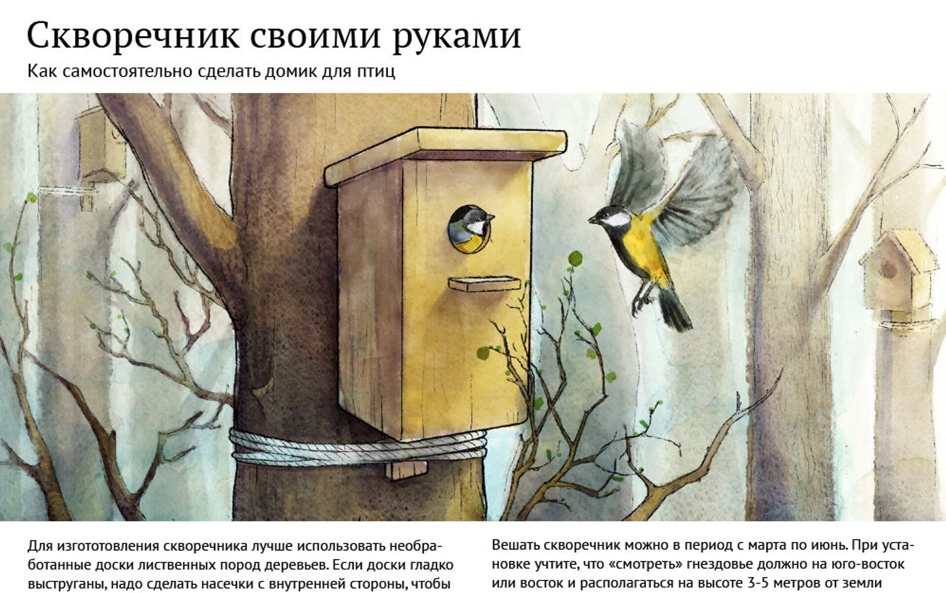 Как построить скворечник для птиц? - статьи в интернет-магазине Материк