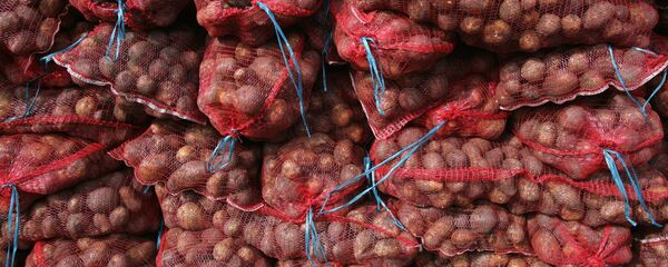 Мешки с картофелем, архивное фото - Sputnik Беларусь