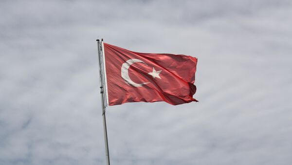 Турецкий флаг. Архивное фото - Sputnik Беларусь