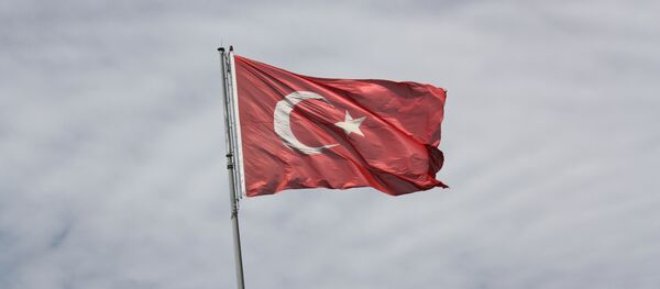 Турецкий флаг. Архивное фото Турецкий флаг. Архивное фото - Sputnik Беларусь