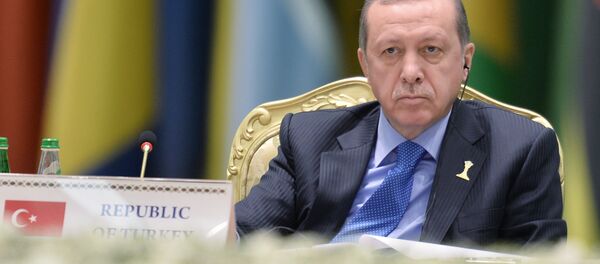 Президент Турции Реджеп Тайип Эрдоган - Sputnik Беларусь