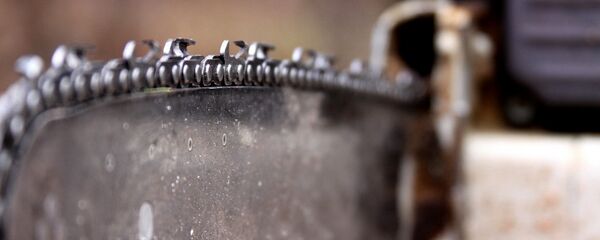 Бензопила - Sputnik Беларусь