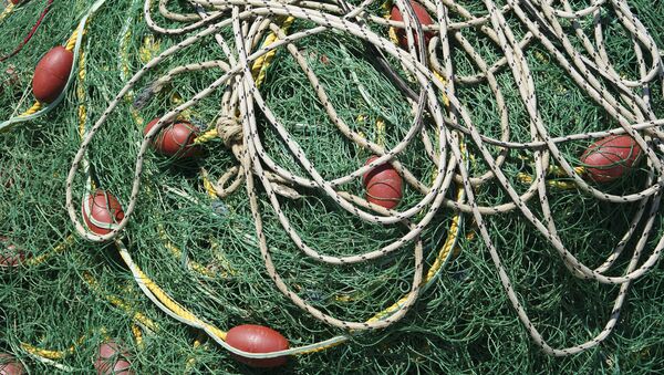 Рыбные сети. Архивное фото - Sputnik Беларусь