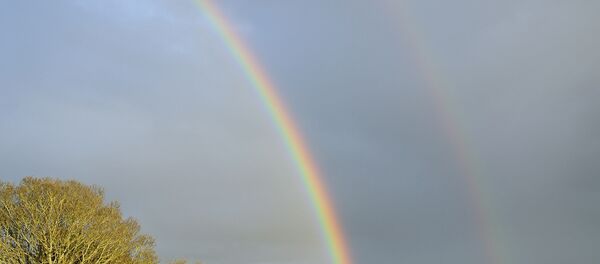 Радуга весной Радуга весной - Sputnik Беларусь