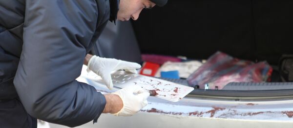 СК работает над обнаружением улик - Sputnik Беларусь