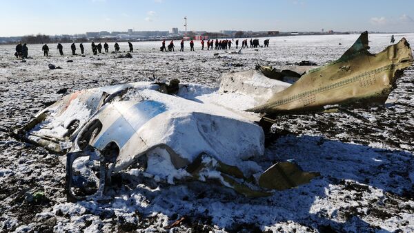 На месте крушения пассажирского самолета Boeing-737-800, который разбился при посадке в аэропорту Ростова-на-Дону - Sputnik Беларусь