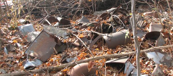 Свалка. Архивное фото - Sputnik Беларусь