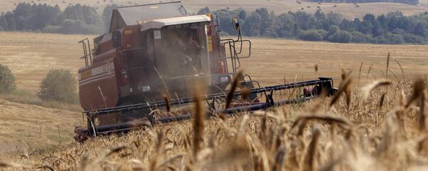 Масавая ўборка збожжавых стартавала ў Беларусі Масавая ўборка збожжавых стартавала ў Беларусі - Sputnik Беларусь