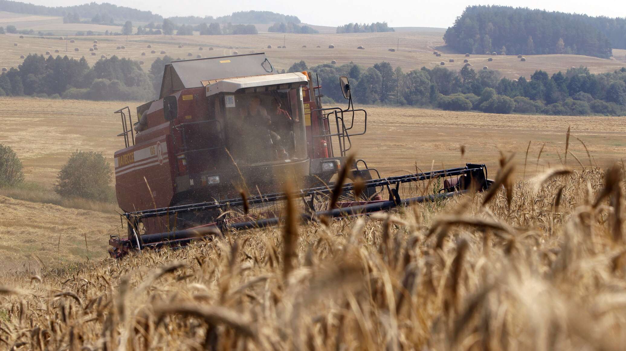 Russian agriculture. Сельское хозяйство Белоруссии. Уборка урожая. Сбор зерновых. Комбайн для сбора урожая.