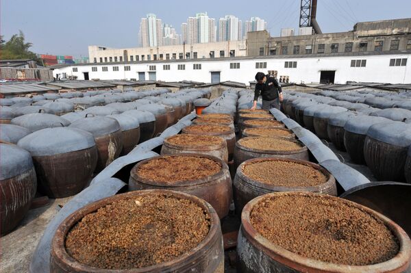 Соевый соус настаивается в глиняных горшках на заводе в районе новых территорий Гонконга - Sputnik Беларусь