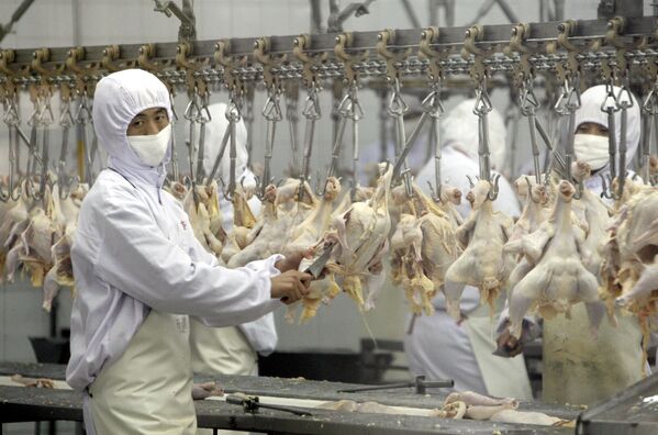 Китайские рабочие на крупнейшей производственной линии куриного мяса в Пекине - Sputnik Беларусь