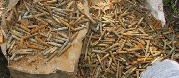 Обнаруженные пограничниками патроны Обнаруженные пограничниками патроны - Sputnik Беларусь