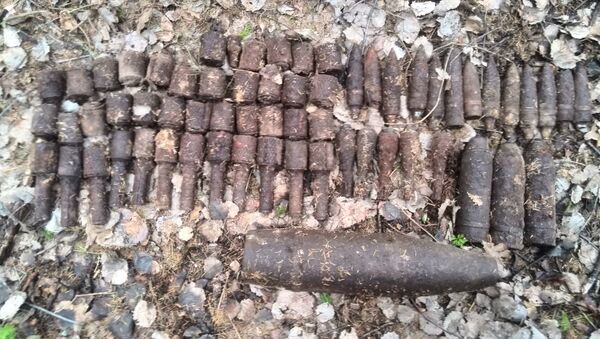 Боеприпасы, найденные милиционерами в лесу - Sputnik Беларусь