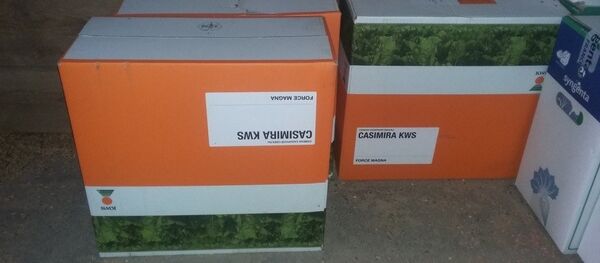 Коробки с семенами - Sputnik Беларусь