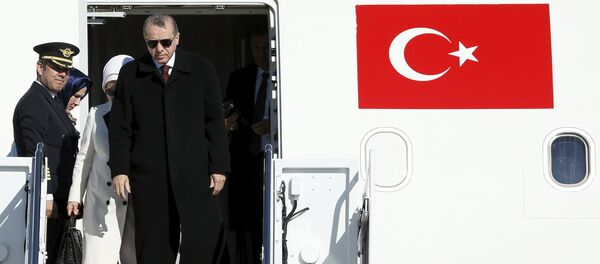 Президент Турции Тайип Эрдоган - Sputnik Беларусь