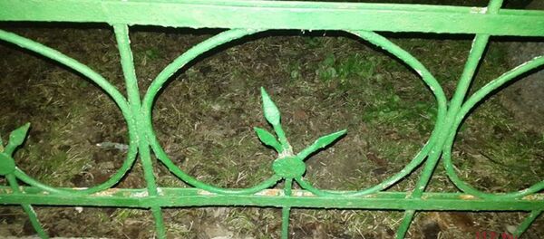 Забор, в котором застрял мужчина - Sputnik Беларусь