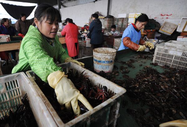 Китайские рабочие обрабатывают урожай раков - Sputnik Беларусь