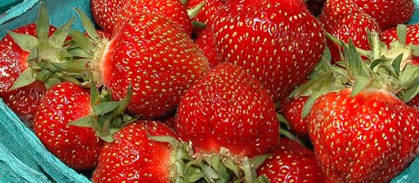 Клубника Клубника - Sputnik Беларусь