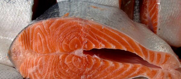 Мясо лосося - Sputnik Беларусь