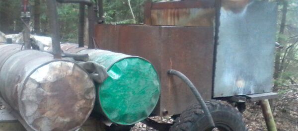 Найденный в лесу завод - Sputnik Беларусь