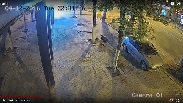 Мужчина крадет плитку в центре Кишинева - Sputnik Беларусь
