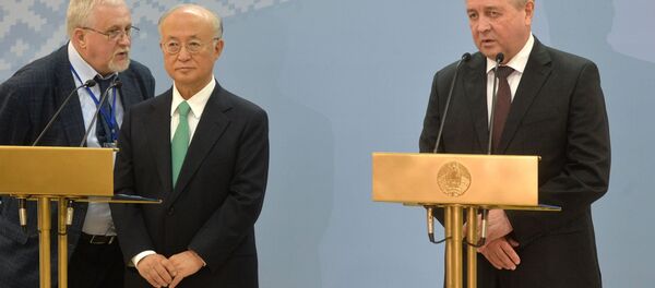 Генеральный директор МАГАТЭ Юкио амано (слева) и вице-премьер Беларуси Владимир Семашко - Sputnik Беларусь