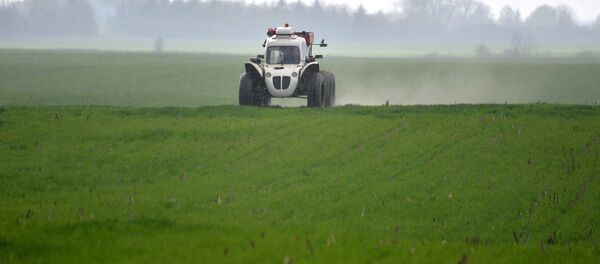 КСУП Экспериментальная база Стреличево Хойникского района - Sputnik Беларусь