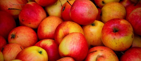 Яблоки - Sputnik Беларусь