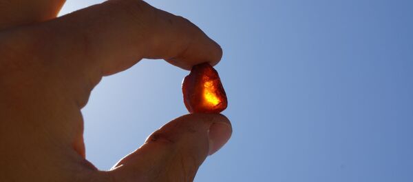 Янтарь - Sputnik Беларусь