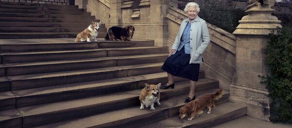 Елизавета II во время прогулки возле Виндзорского замка со своими собаками - корги Уиллоу и Холли и дорги Вулканом и Кэнди - Sputnik Беларусь
