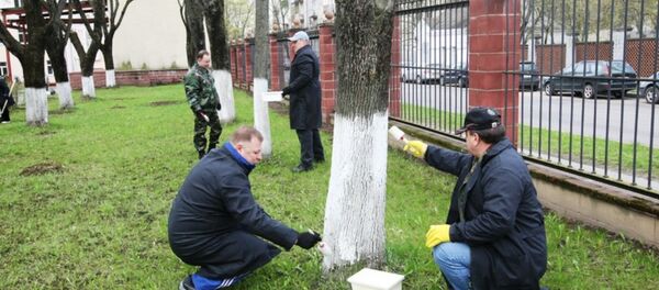 Сотрудники центрального аппарата МВД на субботнике - Sputnik Беларусь