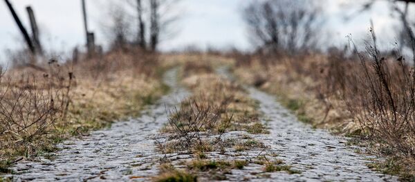 Дорога, архивное фото Дорога, архивное фото - Sputnik Беларусь
