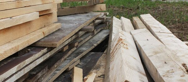 Незаконное строительство коттеджей - Sputnik Беларусь