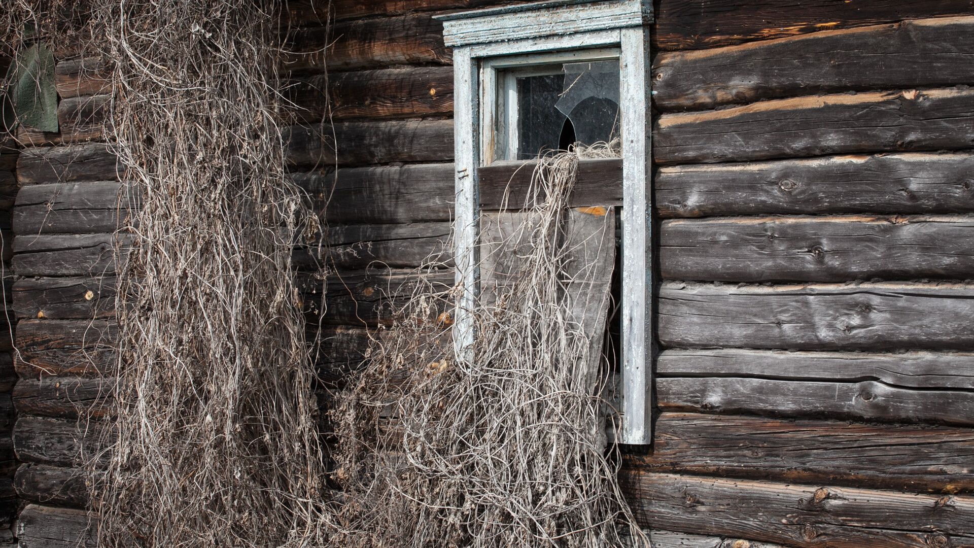 Пустующие дома на селе смогут продавать с большими скидками Пустующие дома на селе смогут продавать с большими скидками