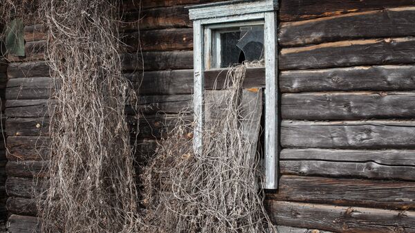 Вёска Савічы Брагінскага раёна  - Sputnik Беларусь