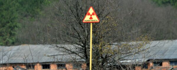 Белорусский сектор зоны отчуждения Чернобыльской АЭС - Sputnik Беларусь