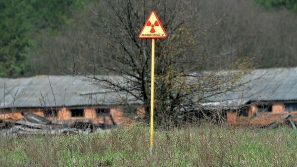 Белорусский сектор зоны отчуждения Чернобыльской АЭС - Sputnik Беларусь