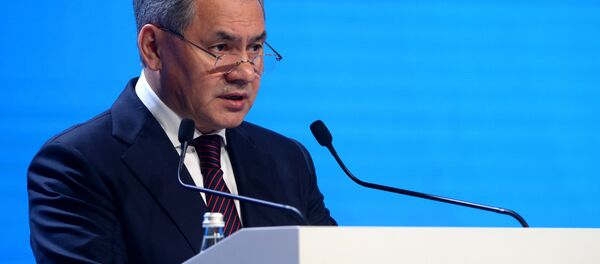 Министр обороны РФ Сергей Шойгу - Sputnik Беларусь
