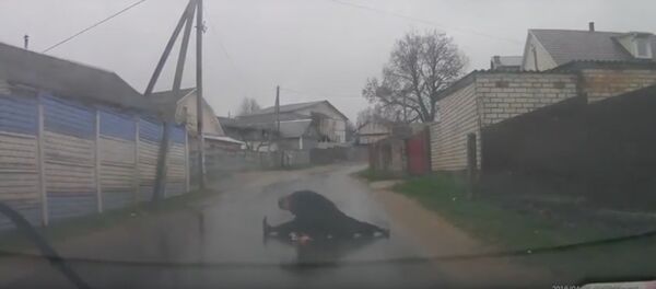 Мужчина сел на шпагат перед автомобилем - Sputnik Беларусь