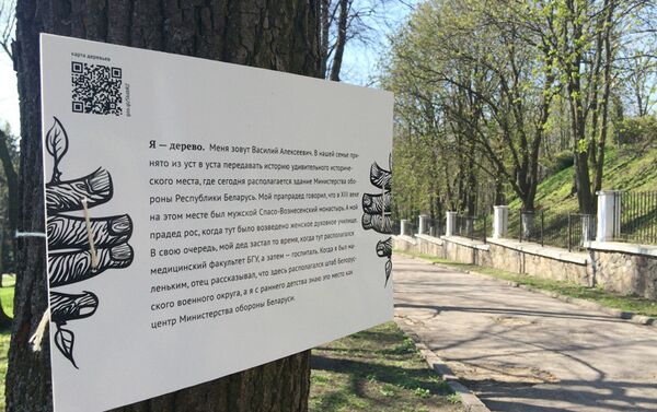 У 13-ти деревьев появились таблички с историями - Sputnik Беларусь