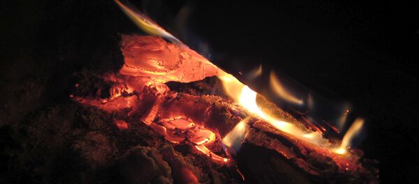 Дрова в печи - Sputnik Беларусь