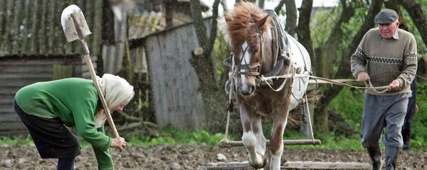 Подготовка почвы к посадке картофеля - Sputnik Беларусь