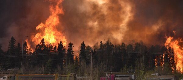 Пожар в канадской провинции Альберта - Sputnik Беларусь