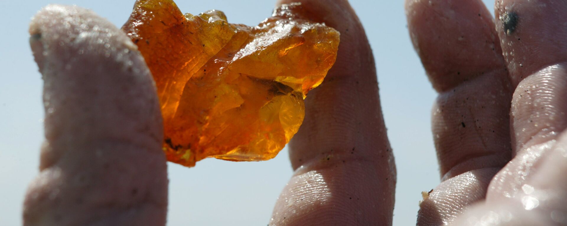 Добыча янтаря - Sputnik Беларусь, 1920, 01.10.2025