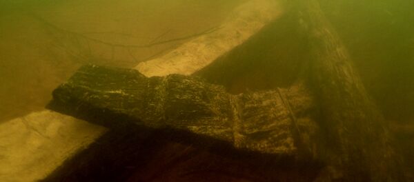 Найденный в Березине остов корабля - Sputnik Беларусь