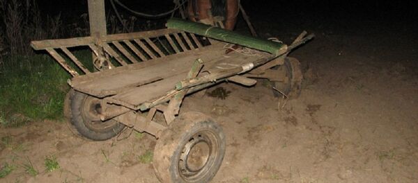 Гужевая повозка - Sputnik Беларусь