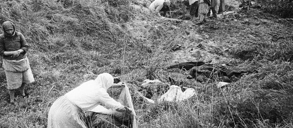 Опознание тел убитых фашистами местных жителей Опознание тел убитых фашистами местных жителей - Sputnik Беларусь