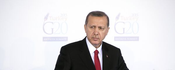 Президент Турции Тайип Эрдоган - Sputnik Беларусь