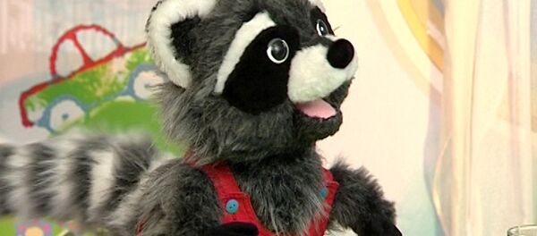 Новый герой Калыханки, енот Тема - Sputnik Беларусь