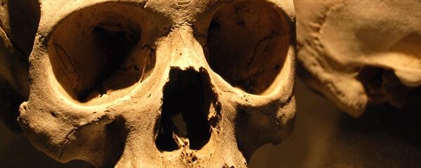 Череп - Sputnik Беларусь